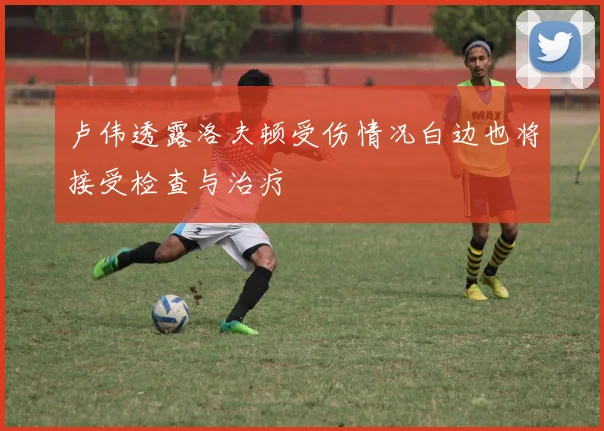 卢伟透露洛夫顿受伤情况白边也将接受检查与治疗